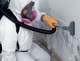 Best Attic Mold Removal  in Lake Winnebago, MO